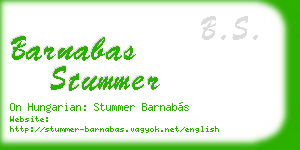barnabas stummer business card